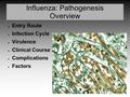 Influenza: Pathogenesis Overview ● Entry Route ● Infection Cycle ● Virulence ● Clinical Course ● Complications ● Factors.