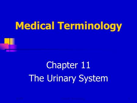 NWTCMedical Terminology1 Chapter 11 The Urinary System.