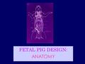 FETAL PIG DESIGN: ANATOMY. There are two basic kinds of “cutting.” Sharp dissection – cutting with a scalpel or scissors. What are the advantages and.