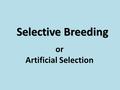 Selective Breeding or Artificial Selection. Selective Breeding The process of breeding plants and animals for particular traits. This is synonymous with.