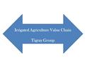 Irrigated Agriculture Value Chain Tigray Group. 1. Value chain constituents of irrigated agriculture.