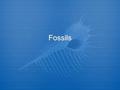 Fossils. How a Fossil Forms  Most fossils from when living things die and are buried by sediments.  The sediments slowly harden into rock and preserve.