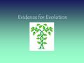 Evidence for Evolution ORGANIZE YOUR THOUGHTS! EVIDENCE FOR EVOLUTION  The Fossil Record  Radiometric Dating  Morphology  Homology  Molecular Biology.