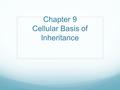 Chapter 9 Cellular Basis of Inheritance. Bell Ringer What happens to your skin cells when you get a cut? Divide and multiply to begin healing. Your skin.