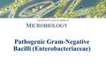 PowerPoint ® Lecture Slides for M ICROBIOLOGY Pathogenic Gram-Negative Bacilli (Enterobacteriaceae)