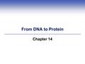 From DNA to Protein Chapter 14. 14.1 DNA, RNA, and Gene Expression  What is genetic information and how does a cell use it?