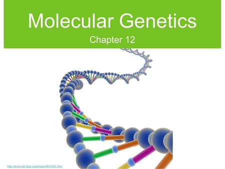 Molecular Genetics Chapter 12