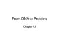 From DNA to Proteins Chapter 13. Life’s Book of Instructions DNA is like a book of instructions –The instructions are written in the alphabet of A,C,G,