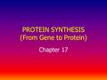 PROTEIN SYNTHESIS (From Gene to Protein) Chapter 17.