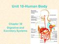 Unit 10-Human Body Chapter 38 Digestive and Excretory Systems.
