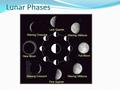 Lunar Phases. Size Largest stars = supergiants or giants The next step down in size are called medium stars. White dwarf stars are about the size of.