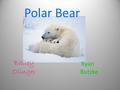 Bailey Olinger Ryan Butzke Polar Bear. Bibliography http;//en.org.wikipedia.org/wik/polar_bear.