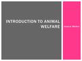 Jessica Walker INTRODUCTION TO ANIMAL WELFARE.  Welfare is an individuals state as regards to its attempts to cope with its environment (Broom 1986).
