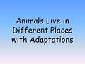 Animals Live in Different Places with Adaptations.