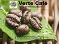 Verte Café Revitalized Marketing Initiative Katherine Grayson, Project Manager.