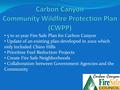 5 to 10 year Fire Safe Plan for Carbon Canyon Update of an existing plan developed in 2002 which only included Chino Hills Prioritize Fuel Reduction Projects.