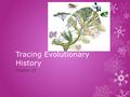 Tracing Evolutionary History Chapter 15. 15.1- 15.9 Earth History & Macroevolution.