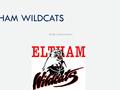 By Rory Koerner-Brown ELTHAM WILDCATS Introduction I play basketball for the Eltham Wildcats because lots of my friends play. I like playing for the.