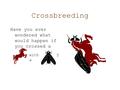 Crossbreeding Have you ever wondered what would happen if you crossed a with a ?