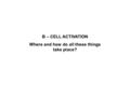 B – CELL ACTIVATION Where and how do all these things take place?