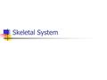 Skeletal System. Functions Support Protection Movement Storage Hemopoiesis.