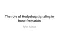 The role of Hedgehog signaling in bone formation Tyler Huycke.