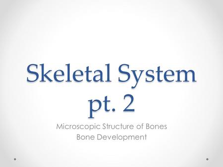 Skeletal System pt. 2 Microscopic Structure of Bones Bone Development.