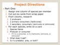 Project Directions Part One: 1.Assign one column of species per member 2.Cut out six cards from scrap paper 3.From column, research 1.2 producers 2.2 primary.