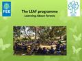 The LEAF programme Learning About Forests. 4 key aspects Appreciating what we have. Instilling love for trees. Making responsible choices. Planting more.