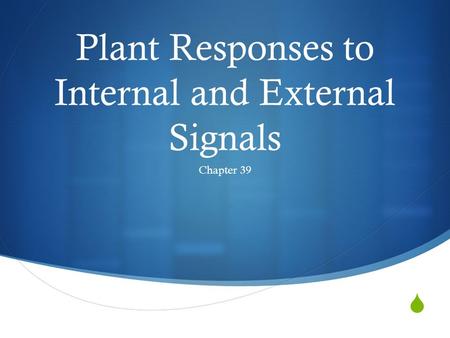  Plant Responses to Internal and External Signals Chapter 39.