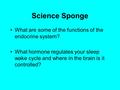 Science Sponge What are some of the functions of the endocrine system? What hormone regulates your sleep wake cycle and where in the brain is it controlled?