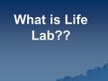 What is Life Lab??. DAY 1 Mystery Substancce 1Mystery Substancce 2.