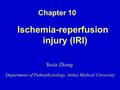 Ischemia-reperfusion injury (IRI) Chapter 10 Department of Pathophysiology, Anhui Medical University Yuxia Zhang.