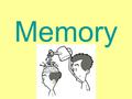 Memory. The persistence of learning over time through the storage and retrieval of information –Your memory is your mind’s storehouse, the reservoir of.