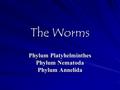 The Worms Phylum Platyhelminthes Phylum Nematoda Phylum Annelida.
