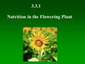 Nutrition in the Flowering Plant 3.3.1. You need to…. Learn how water is taken up by plant roots and the path taken by the water through the root, stem.