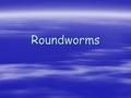 Roundworms. Phylum Nematoda 1.Nematode: “round” 2.Live in most envir. 3.Free-living or parasitic 4.Smaller than flatworms, taper at both ends 5.Thick.