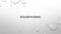 ROUNDWORMS. WHAT IS A ROUNDWORM? MEMBERS OF PHYLUM NEMATODA SLENDER, UNSEGMENTED WORMS WITH TAPERED ENDS. MOST ARE FREE-LIVING – FOUND IN SOIL, SALT FLATS,