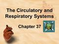 The Circulatory and Respiratory Systems Chapter 37.