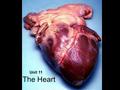 The Heart Unit 11. The heart is the pump that keeps blood moving around a closed circuit of blood vessels. It beats over 100,000 times a day. Introduction.