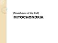 MITOCHONDRIA (Powerhouse of the Cell). Mitochondria (singular, mitochondrion) – are typically tubular or rod-shaped organelles found in the cytoplasm.