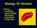 Biology 10: Viruses! XThese incredibly small, simple structures must infect living cells…
