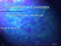 1 5/27/2016 Prokaryotes vs Eukaryotes Hugh B. Fackrell Computer Filename: pkvsek.ppt.