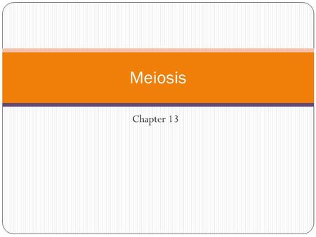 Chapter 13 Meiosis. Living Things Reproduce Results in similarities and differences between offspring and parents Facilitated by heredity or inheritance.