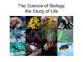 The Science of Biology: the Study of Life fau.edu/biology.