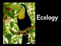 Ecology. WHAT IS ECOLOGY? Eco/ logy Housestudy of (or habitat) From Greek Oikos meaning house Ecology is the scientific study of organisms and their interactions.