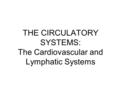 THE CIRCULATORY SYSTEMS: The Cardiovascular and Lymphatic Systems.