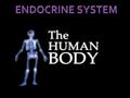 The endocrine system is made up of glands that produce hormones and release them into the blood. The hormones cause certain reactions to occur in specific.