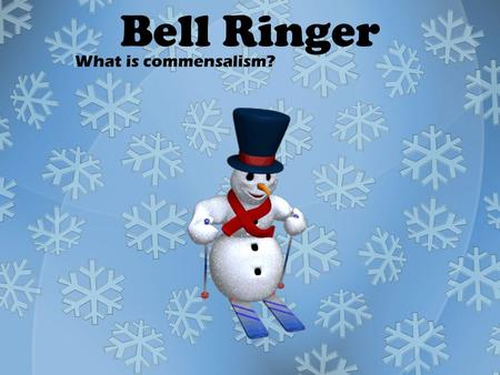 Bell Ringer What is commensalism?. Today Bell Ringer Chapter 3 Lesson 3 Chapter 3 Lesson 4 I CAN GIVE 1 EXAMPLE FOR A STRUCTURAL ADAPTATION. I CAN GIVE.