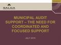 Www.salga.org.za MUNICIPAL AUDIT SUPPORT – THE NEED FOR COORDINATED AND FOCUSED SUPPORT JULY 2015.